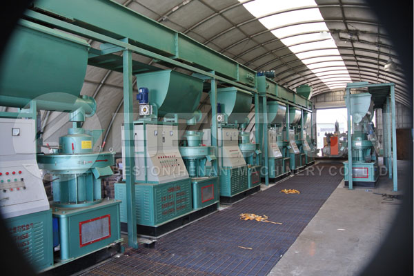 Beston Pellet Making Machine in America