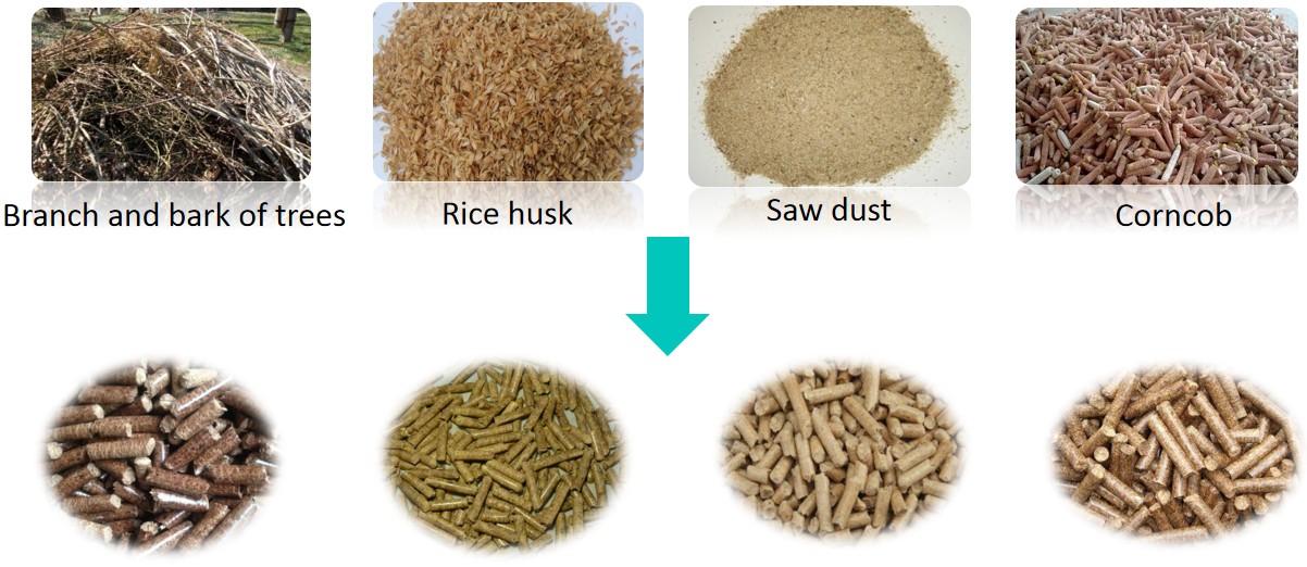 Biomass Pellets Made by Beston Pellet Making Machine